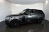 USED 2019 69 LAND ROVER RANGE ROVER 4.4 SDV8 AUTOBIOGRAPHY 5d AUTO 340 BHP-1 PRIVATE OWNER FROM NEW-5 LAND ROVER SERVICES-CARPATHIAN GREY METALLIC WITH HEATED AND COOLED SEATS-MASSAGE SEATS-EBONY LEATHER-SOFT CLOSE DOORS-HEAD UP DISPLAY-MERIDIAN SOUND SYSTEM-SLIDE AND TILT GLASS PANORAMIC ROOF-22