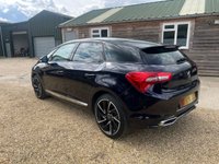 USED 2016 16 DS DS 5 2.0 BLUEHDI PRESTIGE S/S EAT6 5d 178 BHP Superior Semi-Aniline Watchstrap Pack - Tan with DS Embossing