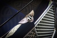 USED 2013 63 BENTLEY FLYING SPUR 6.0 W12 4d 616 BHP JUST SERVICED, FULL BENTLEY SERVICE HISTORY, ELECTRIC GLASS ROOF, REVERSE CAMERA, APPLE CARPLAY, SOFT CLOSE, KEYLESS - STUNNING!!!