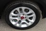 USED 2017 66 FIAT PANDA 1.2 EASY 5d 69 BHP VIEW AND RESERVE ONLINE OR CALL 01527-853940 FOR MORE INFO.