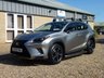 USED 2020 20 LEXUS NX 2.5 300H 5d 195 BHP www.suffolkcarcentre.co.uk - Located at Reydon