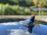 USED 2017 17 AUDI A4 3.0 TDI QUATTRO S LINE 4d 268 BHP 
