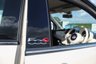 USED 2018 18 FIAT 500C 1.2 COLLEZIONE 2d 69 BHP FANTASTIC COLOUR COMBINATION