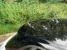 USED 2016 16 AUDI A1 1.4 SPORTBACK TFSI BLACK EDITION 5d 148 BHP 