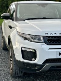 USED 2016 66 LAND ROVER RANGE ROVER EVOQUE 2.0 ED4 SE TECH 5d 148 BHP 