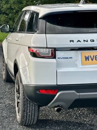 USED 2016 66 LAND ROVER RANGE ROVER EVOQUE 2.0 ED4 SE TECH 5d 148 BHP 