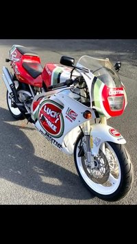 USED 1993 K SUZUKI RGV250 Lucky Strike 2 Stroke Sports Classic A lovely little machine in superb condition