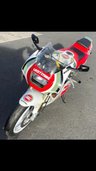 USED 1993 K SUZUKI RGV250 Lucky Strike 2 Stroke Sports Classic A lovely little machine in superb condition