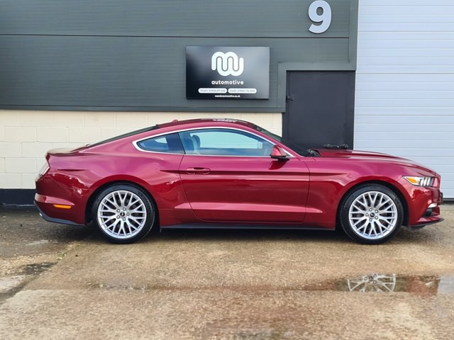 View our FORD MUSTANG