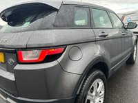 USED 2017 E LAND ROVER RANGE ROVER EVOQUE 2.0 ED4 SE TECH 5d 148 BHP CORRIS GREY METALLIC PAINT+LANE ASSIST+LANE DEPARTURE WARNING+FULL LEATHER INTERIOR+PARK ASSIST+CLIMATE CONTROL+18 INCH ALLOY WHEELS+AUTONOMOUS EMERGENCY BREAKING+DRIVER CONDITION MONITOR+CHROME TREAD PLATES+THIS CAR RETAILS NEW AT &pound;33315 MAKING IT TERRIFIC VALUE AT OUR LOW PRICE+LOTS OF ADDED EXTRAS+FIRST TO VIEW WILL BUY!!!!!!!!!!!!!!