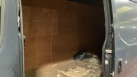 USED 2017 67 IVECO DAILY 2.3 35S14V 135 BHP 