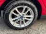 USED 2016 66 FORD FOCUS 1.5 ZETEC TDCI 5dr 