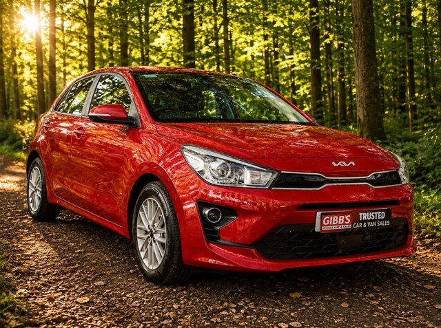 2022 Kia RIO