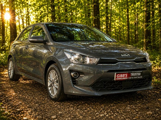 2022 Kia RIO