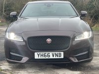 USED 2016 07 JAGUAR XF 2.0 R-SPORT 4d 177 BHP LOW MILES, &pound;35 ROAD TAX 70+MPG