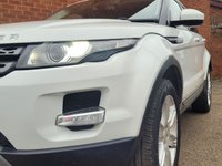USED 2015 64 LAND ROVER RANGE ROVER EVOQUE DIESEL HATCHBACK SD4 PURE 