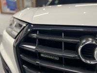 USED 2019 19 AUDI Q5 2.0L TDI QUATTRO BLACK EDITION 5d 188 BHP 