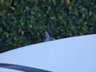 USED 2013 13 MERCEDES-BENZ C-CLASS C180 AMG SPORT 1.6 BLUEEFFICIENCY 2d 154 BHP MERCEDES SPECIALIST