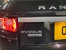 USED 2015 P LAND ROVER RANGE ROVER EVOQUE 2.2 SD4 AUTOBIOGRAPHY 3d 190 BHP STUNNING RARE EVOQUE AUTOBIOGRAPHY - 2.2 SD4 190 BHP AUTO - ONLY 43K MILES - TAN LEATHER - GLASS PANROOF - HEATED/COOLED SEATS - NAV - REVERSE CAMERA