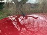 USED 2011 61 SEAT IBIZA 1.6 CR TDI SPORTRIDER **MARCH SALE** 12 MONTHS MOT