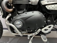 USED 2021 21 TRIUMPH SCRAMBLER 1200 STEVE MCQUEEN LIMITED EDITION - BUY ONLINE 24 HRS A DAY - FINANCE AVAILABLE - ALL TYPES OF CREDIT ACCEPTED ONLY 882 MILES FROM NEW