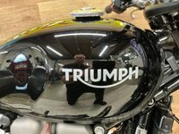 USED 2021 21 TRIUMPH BONNEVILLE STREET TWIN   