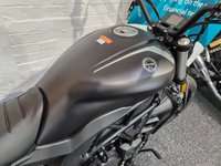 USED 2024 24 BENELLI 502 C 502C CRUISER BRAND NEW - TWO YEAR WARRANTY