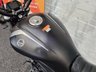 USED 2024 24 BENELLI 502 C 502C CRUISER BRAND NEW - TWO YEAR WARRANTY