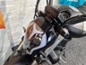USED 2024 24 BENELLI 502 C 502C CRUISER BRAND NEW - TWO YEAR WARRANTY