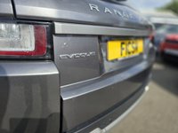 USED 2017 66 LAND ROVER RANGE ROVER EVOQUE 2.0 TD4 SE 5d 177 BHP A REALLY BEAUTIFUL ADDITION, JUST IN+4 WHEEL DRIVE+SERVICE HISTORY+ONLY 2 FORMER KEEPERS+DIESEL+AUTOMATIC+PRIVACY GLASS+FULL LEATHER INTERIOR+SATELLITE NAVIGATION+PARK ASSIST+AIR CONDITIONING+18 INCH ALLOY WHEELS+1 FULL YEARS MOT PRIOR TO COLLECTION+CALL TODAY FOR MORE INFORMATION AND TO ARRANGE A VIEWING!!!!!!!!!!!!!!!!!!!!!!!!!!!!!!!