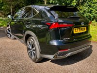 USED 2021 71 LEXUS NX 2.5 300H F SPORT 5d AUTO 195 BHP 1 RETIRED PRIVATE OWNER FROM NEW (Lexus uk pre-reg 1 month)///PARK CAMERA//PANORAMIC GLASS ROOF//RED LEATHER INSERT//FULL LEXUS SERVICE HISTORY 195 BHP 1 RETIRED PRIVATE OWNER FROM NEW (Lexus uk pre-reg 1 month)//APPLEPLAY//PARK CAMERA//PANRAMC GLASS ROOF//RED LEATHER INSERT//FULL LEXUS SERVICE HISTORY