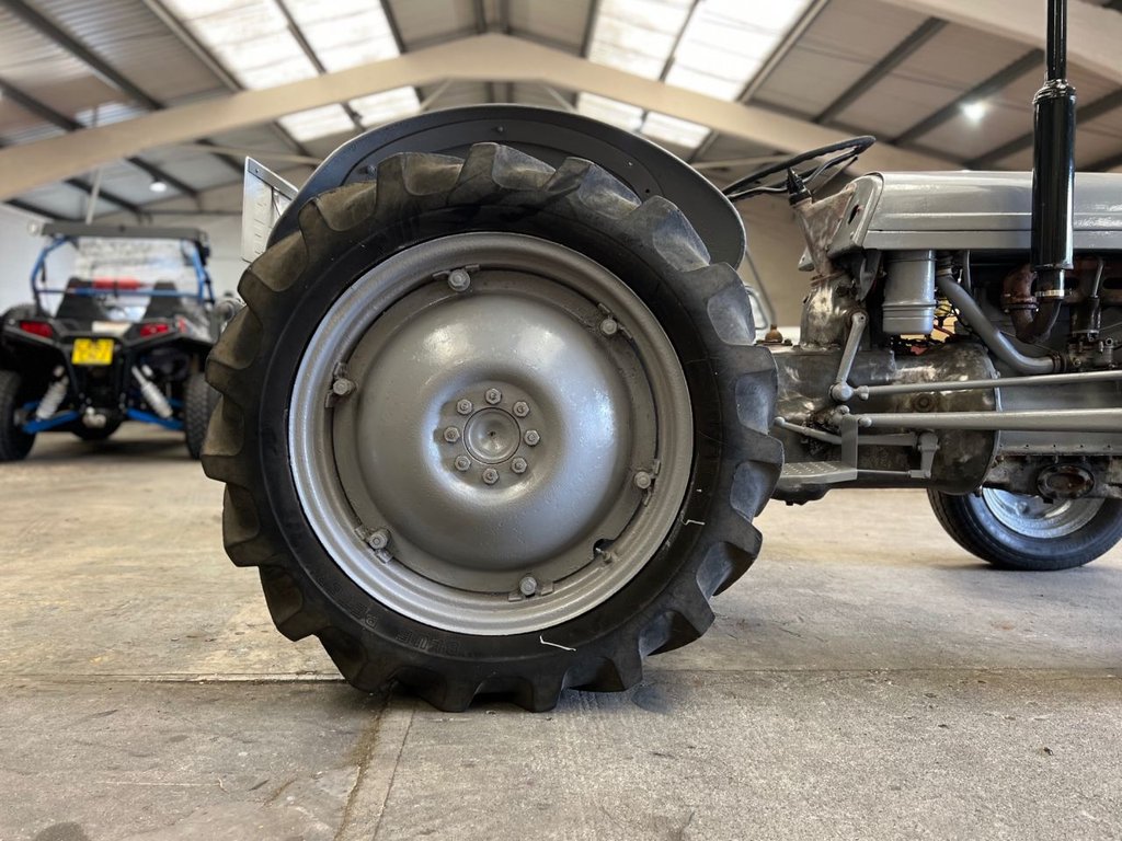 USED 1949 MASSEY FERGUSON ALL MODELS TE20 // 2100cc // Classic tractor // Px swap 
