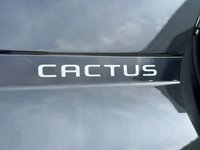 USED 2019 19 CITROEN C4 CACTUS 1.5 BLUEHDI FLAIR S/S EAT6 5d 118 BHP SAT NAV + REVERSING CAMERA + +