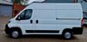 USED 2020 20 CITROEN RELAY 2.2 35 L2H2 ENTERPRISE BLUEHDI S/S 139 BHP LOW MILEAGE, 12 MONTH MOT