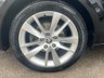 USED 2019 19 SKODA OCTAVIA 1.6 SE L TDI 5dr 