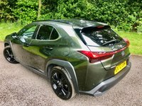 USED 2022 72 LEXUS UX 2.0 250H 5d AUTO 108 BHP ONLY 3,800 MILES//PRIVATE OWNER RETIRED FROM DRIVING//SATNAV//POWER WINDOWS/MIRRORS//SATNAV//RUNFLAT TYRES\\BLUETOOTH//DAB//FULL WHITE LEATHER//PARK CAMERA//SERVICED AT 3,452 MILES AND JUST SERVICE BY GUILDFORD LEXUS AT 3,800 MILES ONLY 3,800 MILES//PRIVATE OWNER RETIRED FROM DRIVING//SATNAV//POWER WINDOWS/MIRRORS//SATNAV//RUNFLAT TYRES\\BLUETOOTH//DAB//FULL WHITE LEATHER//PARK CAMERA//SERVICED AT 3,452 MILES AND JUST SERVICE BY GUILDFORD LEXUS AT 3,800 MILES