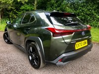 USED 2022 72 LEXUS UX 2.0 250H 5d AUTO 108 BHP ONLY 3,800 MILES//PRIVATE OWNER RETIRED FROM DRIVING//SATNAV//POWER WINDOWS/MIRRORS//SATNAV//RUNFLAT TYRES\\BLUETOOTH//DAB//FULL WHITE LEATHER//PARK CAMERA//SERVICED AT 3,452 MILES AND JUST SERVICE BY GUILDFORD LEXUS AT 3,800 MILES ONLY 3,800 MILES//PRIVATE OWNER RETIRED FROM DRIVING//SATNAV//POWER WINDOWS/MIRRORS//SATNAV//RUNFLAT TYRES\\BLUETOOTH//DAB//FULL WHITE LEATHER//PARK CAMERA//SERVICED AT 3,452 MILES AND JUST SERVICE BY GUILDFORD LEXUS AT 3,800 MILES