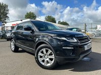 USED 2017 67 LAND ROVER RANGE ROVER EVOQUE 2.0 ED4 SE TECH 5d 148 BHP A REAL BEAUTY FINISHED IN FACTORY BLACK PAINT+LOW MILEAGE+DIESEL+AUTOMATIC+ULEZ COMPLIANT+ONLY 1 FORMER KEEPER+SERVICE HISTORY+PRIVACY GLASS+FULL LEATHER INTERIOR+SATELLITE NAVIGATION+PARK ASSIST+CLIMATE CONTROL+18 INCH ALLOY WHEELS+1 FULL YEARS MOT PRIOR TO COLLECTION+FULL RANGE OF FINANCE OPTIONS AVAILABLE+CALL TODAY TO ARRANGE A VIEWING!!!!!!!!!!!!!!!!!!!!!!!