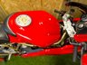 USED 1998 R DUCATI 900 SUPER SPORT 904cc 900SS COLLECTORS EDITION, NUT AND BOLT STRIP AND CLEAN, STUNNING CONDITION Stunning Condition, Collectors Edition, Dual Termignoni Exhausts, Marchesini Wheels, Just Had Major Service with Belts, Valves, Shims.