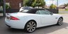 USED 2014 14 JAGUAR XK 5.0 PORTFOLIO 2d 380 BHP Polaris White, Full Black Leather Interior, 20" Orona Alloys (&pound;1025 option), Piano Black Veneer, 3 Spoke Heated Sports Steering Wheel (&pound;500 option), Bowers & Wilkins Audio System, Parking Camera, Electric Folding Mirrors, Heated and Cooled Seats, Heated Front Screen, Wind Deflector, Auto Headlights, Satellite Navigation, Bluetooth Phone, System, DAB Radio, Cruise Control, Keyless Entry, Suede Headlining, LED Taillights, LED Running Lights With Xenon Headlights, Rain Sensing Wipers, 16 Way Electr