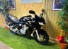 USED 2003 53 SUZUKI GSF 600 S BANDIT 600cc GSF 600 SY  The Perfect Everyday Bike