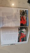 USED 1993 K SUZUKI RGV250 P Sports 2 Stroke Classic Featured in Classic Superbike ll by Frank Melling
