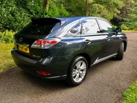USED 2010 10 LEXUS RX 3.5 450H SE-I 5d AUTO 249 BHP // 4WD // PROFESSOR OWNER SINCE 2012 With X14 LEXUS MAIN DEALER SERVICING STAMPS//FULL WHITE MEMORY LEATHER SEATS//PARK SENSORS FRONT AND REAR//REAR CAMERA//BLUE-TOOTH//SATNAV//FRONT BRAKE DISCS-PADS-CALIPERS-WATERPUMP-FRONT TYRES ALL RENEWED IN JANUARY 2024////STUNNING HISTORY AND CONDITIONING PROFESSOR OWNER SINCE 2012 With X14 LEXUS MAIN DEALER SERVICING STAMPS//FULL WHITE MEMORY LEATHER SEATS//PARK SENSORS FRONT AND REAR//REAR CAMERA//BLUE-TOOTH//SATNAV//FRONT BRAKE DISCS-PADS-CALIPERS-WATERPUMP-FRONT TYRES ALL RENEWED IN JANUARY 2024////STUNNING HISTORY AND CONDITIONING