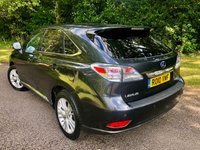 USED 2010 10 LEXUS RX 3.5 450H SE-I 5d AUTO 249 BHP // 4WD // PROFESSOR OWNER SINCE 2012 With X14 LEXUS MAIN DEALER SERVICING STAMPS//FULL WHITE MEMORY LEATHER SEATS//PARK SENSORS FRONT AND REAR//REAR CAMERA//BLUE-TOOTH//SATNAV//FRONT BRAKE DISCS-PADS-CALIPERS-WATERPUMP-FRONT TYRES ALL RENEWED IN JANUARY 2024////STUNNING HISTORY AND CONDITIONING PROFESSOR OWNER SINCE 2012 With X14 LEXUS MAIN DEALER SERVICING STAMPS//FULL WHITE MEMORY LEATHER SEATS//PARK SENSORS FRONT AND REAR//REAR CAMERA//BLUE-TOOTH//SATNAV//FRONT BRAKE DISCS-PADS-CALIPERS-WATERPUMP-FRONT TYRES ALL RENEWED IN JANUARY 2024////STUNNING HISTORY AND CONDITIONING