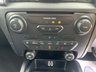 USED 2019 69 FORD RANGER 2.0 WILDTRAK ECOBLUE 210 BHP NEW ENGINE FITTED BY FORD!