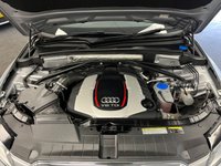 USED 2015 15 AUDI Q5 3.0 SQ5 TDI QUATTRO 5d 309 BHP UK DELIVERY FLAT FEE &pound;175 (SUBJECT TO DEAL) *OVER 100 IMAGES ON OUR WEBSITE*BESPOKE FINANCE ARRANGED*PART EXCHANGE WELCOME*ALL VEHICLES HPI CLEAR
