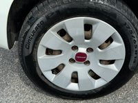 USED 2014 64 FIAT PANDA 1.2 POP 5d 69 BHP TIMING BELT KIT @48K IN 2023