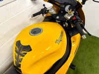 USED 2001 Y TRIUMPH TT 600 599cc TT 600  Bumblebee Yellow - Old School - Original TT Design