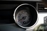 USED 2017 17 FORD MUSTANG 5.0 GT Steeda Q750 - 800hp 