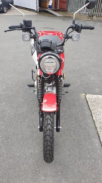 USED 2020 20 HONDA CT125 Hunter Trail Cub Delivery available